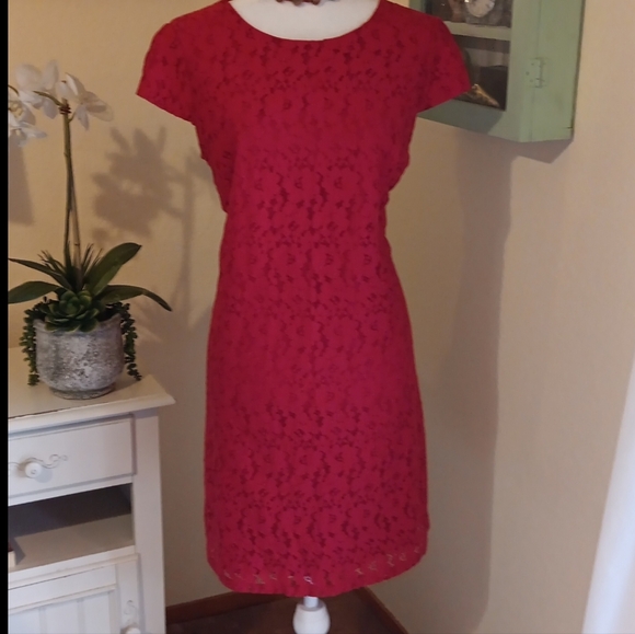 Tommy Hilfiger Red Lace Dress. Holiday Perfect. Lace. - Picture 2 of 12